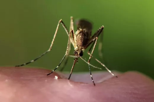 Não seja muito duro consigo mesmo